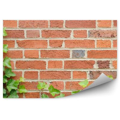 Fototapeta Tehlový Múr Z Brečtanu