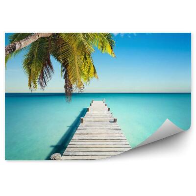 Fototapeta na stenu Kokosová pláž