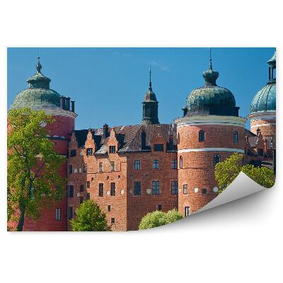 Fototapeta Hrad gripsholm švédsko pamiatka
