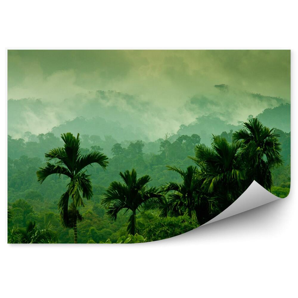 Fototapeta na stenu Hory Sumatry