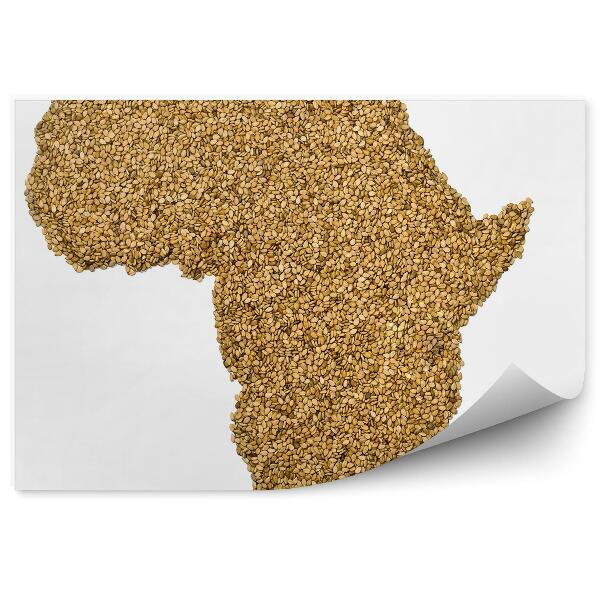 Fototapeta Obrys mapy Afriky