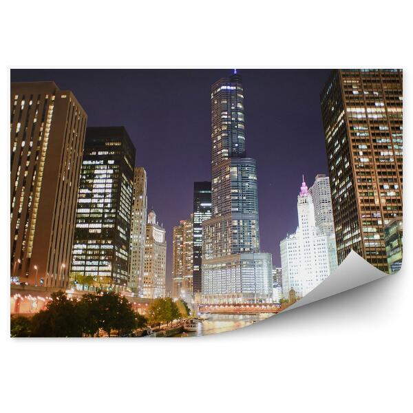 Fototapeta na stenu Chicago mrakodrapy nočné svetlá rieka stromy most tiene