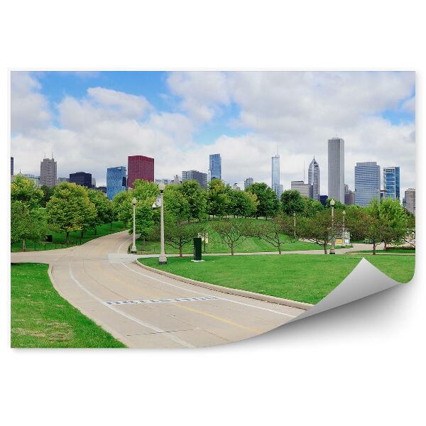 Fototapeta Chicago mrakodrapy stromy mraky cesta tráva