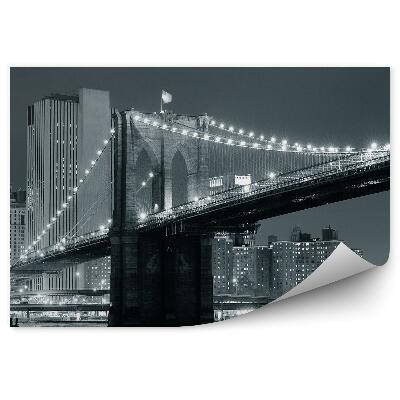 Fototapeta na stenu Most usa čiernobiela fotografia rieka