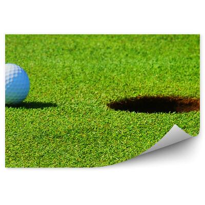 Fototapeta na stenu Luknja za žogico za golf