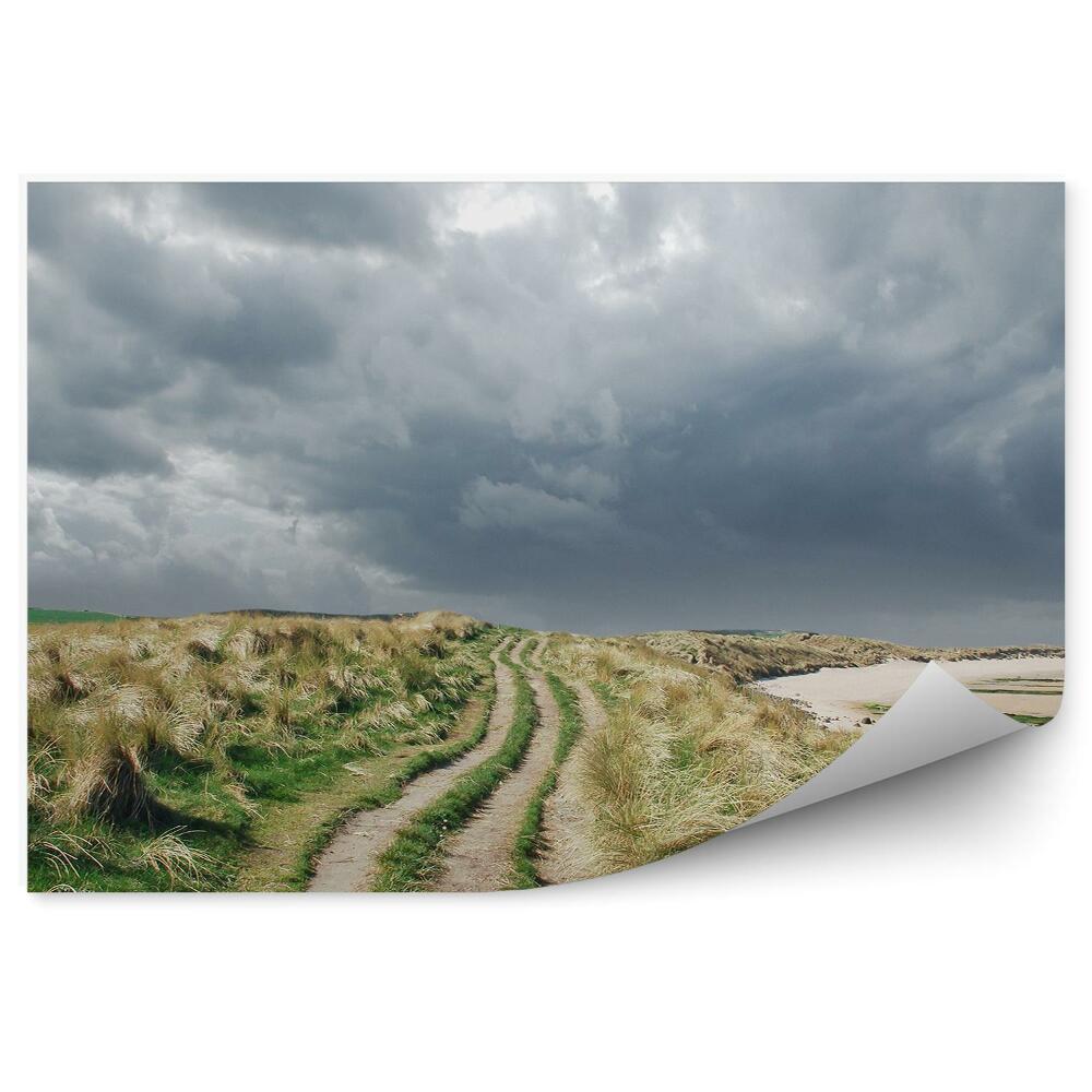 Fototapeta na stenu Trávnatá cesta zamračená obloha