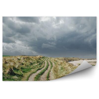 Fototapeta na stenu Trávnatá cesta zamračená obloha