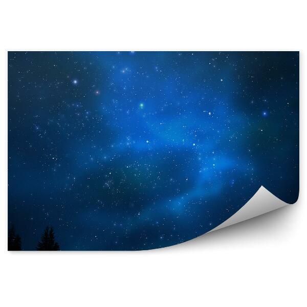 Fototapeta Vesmír Obloha Plná Hviezd Hmloviny Galaxie Ihličnany Noc