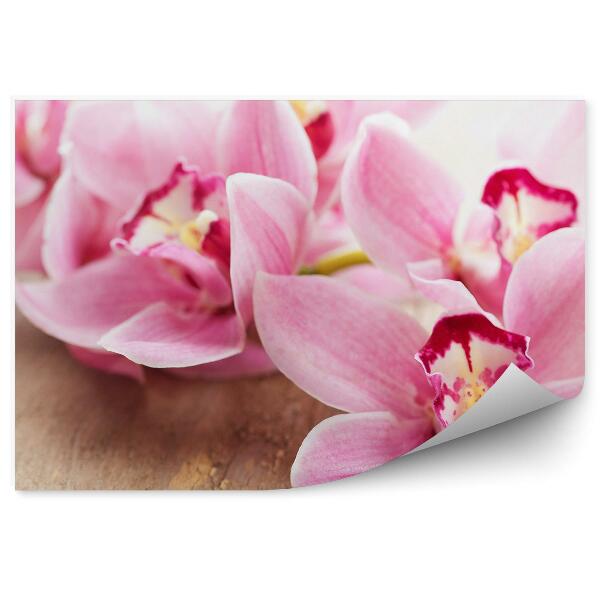 Fototapeta na stenu Ružové Kvety Orchidey