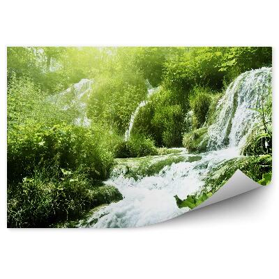 Fototapeta na stenu Lesná vegetácia vodopád listy