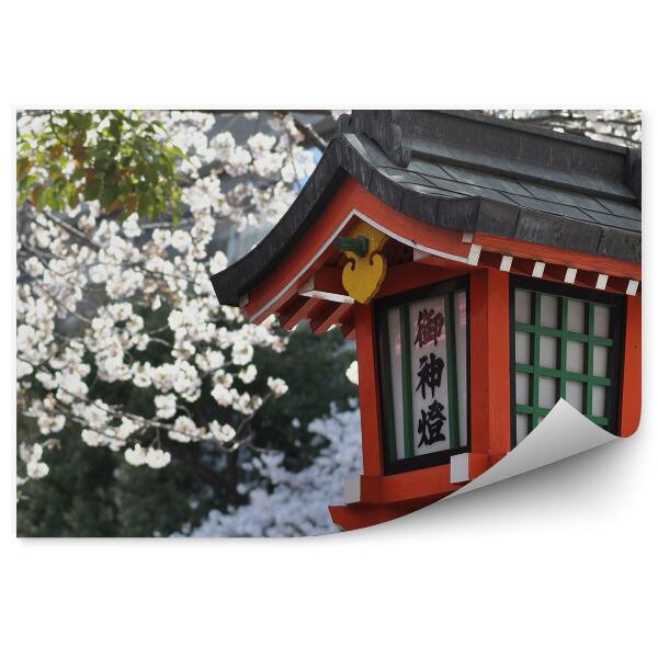 Fototapeta na stenu Slávnostný Lampáš Drevo Kvety Sakura Príroda