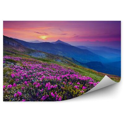 Fototapeta na stenu Horská krajina