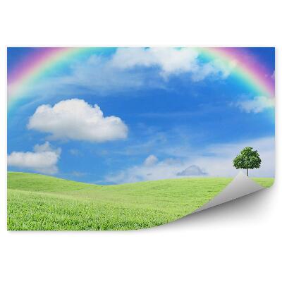 Fototapeta Tráva Strom Dúha Obloha Mraky