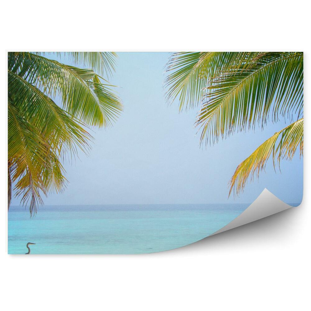 Fototapeta Luxusné Tropické Vtáky Palmy