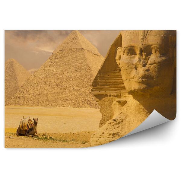 Fototapeta na stenu Egiptske ruševine piramide kamela