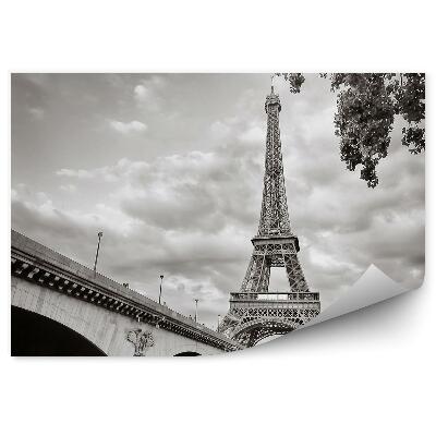 Fototapeta na stenu Pohľad na Eiffelovu vežu od rieky