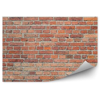 Fototapeta na stenu Tehlová stena