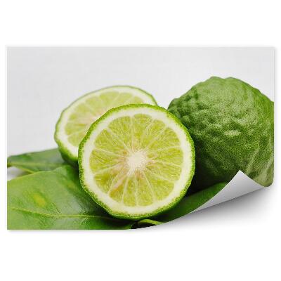 Fototapeta Bergamot citrusy zelené listy biele pozadie