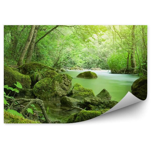 Fototapeta na stenu Rieka zelený les stromy vegetácia