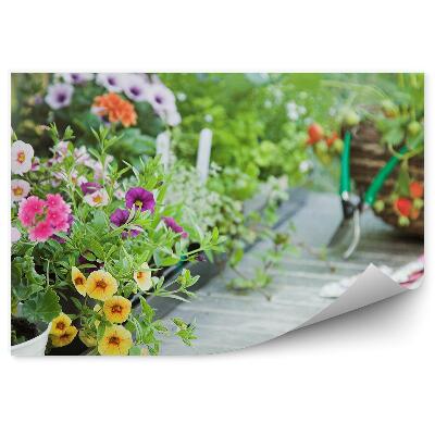 Fototapeta Kvety bylinky príroda vegetácia nástroje