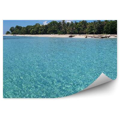 Fototapeta Krištáľová voda ostrov s bujnou vegetáciou