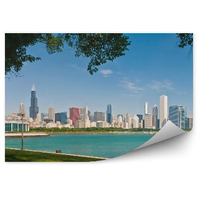 Fototapeta Panoráma Chicago mrakodrapy stromy tráva