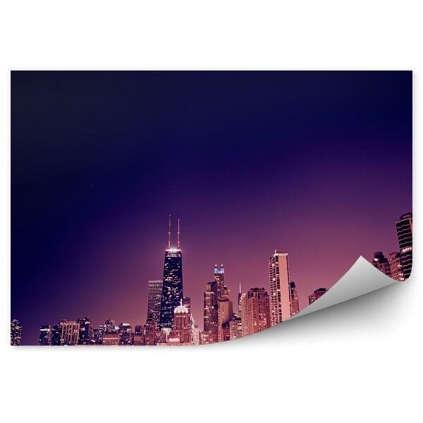 Fototapeta Chicago mrakodrapy oceán stromy svetlá