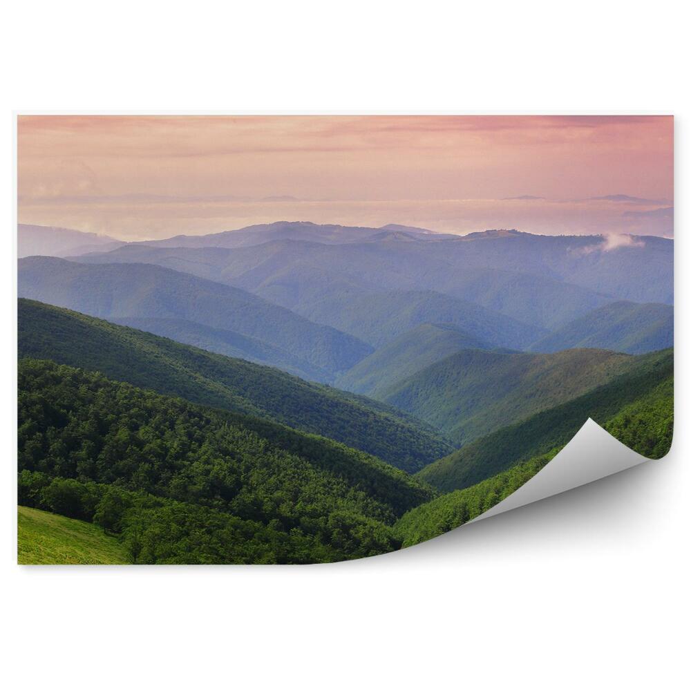 Fototapeta Tráva stromy západ slnka sopka na svätom Kytici