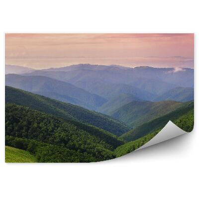 Fototapeta Tráva stromy západ slnka sopka na svätom Kytici