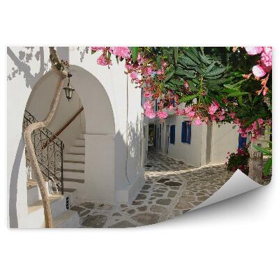 Fototapeta na stenu Aleja Kvety Vegetácia Biele Budovy Mesto