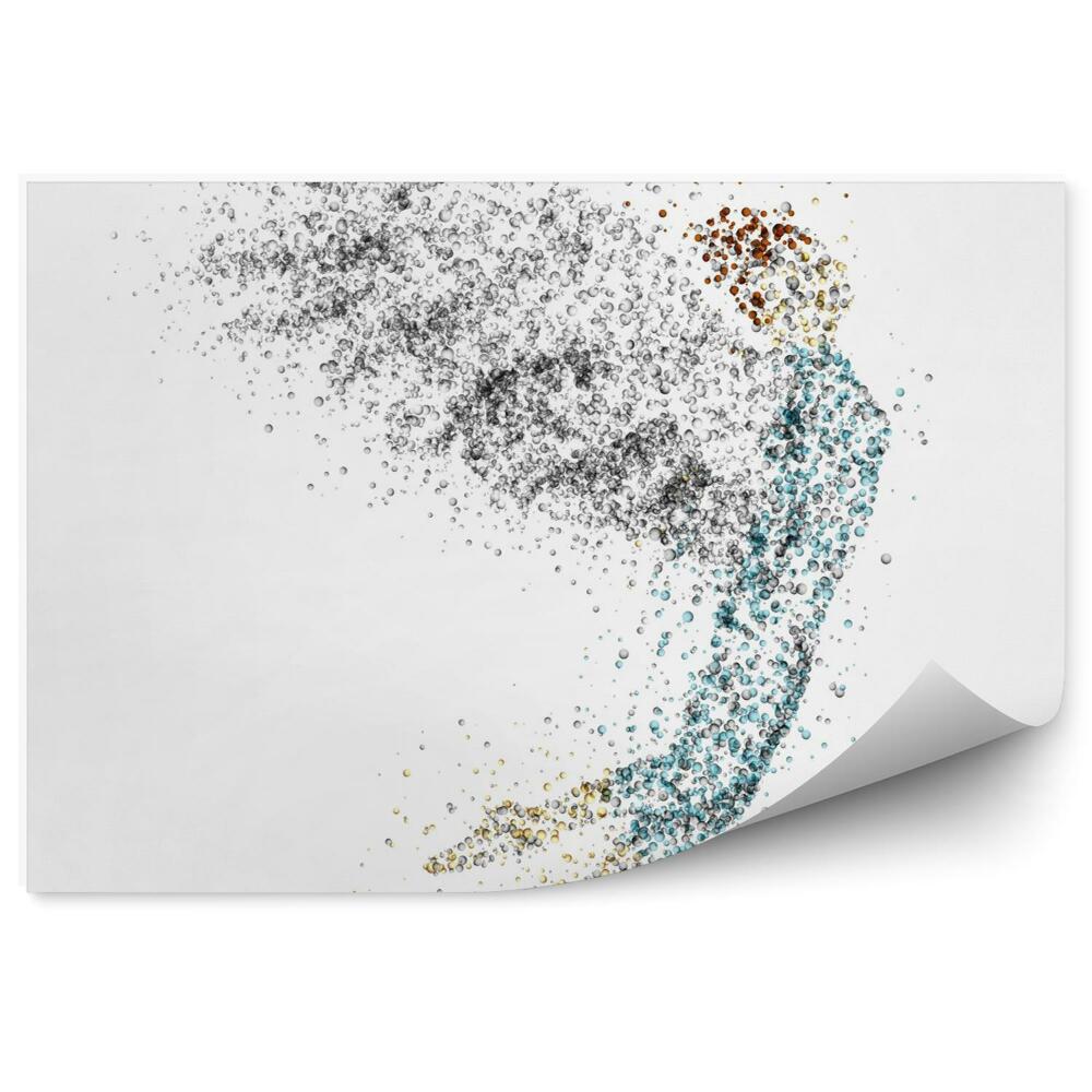 Fototapeta Abstraktný anjel