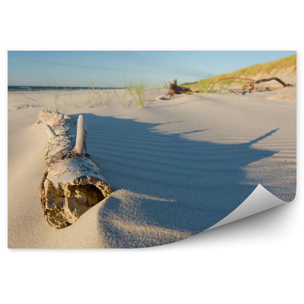 Fototapeta Pláž Strom Tráva