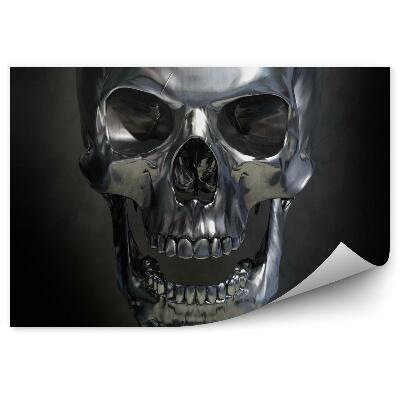 Fototapeta na stenu Kovová lebka