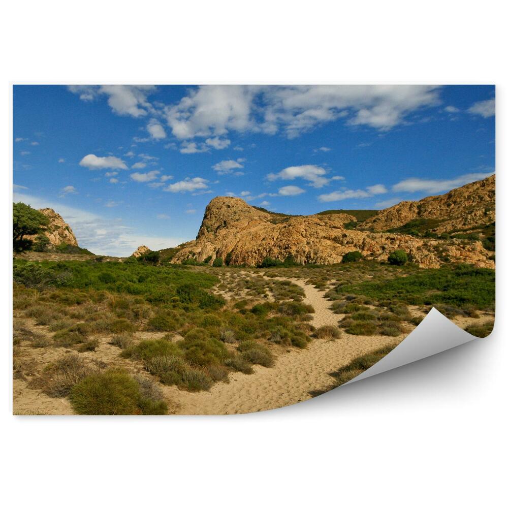 Fototapeta na stenu Skaly Púšť Zelené Stromy Obloha Mraky