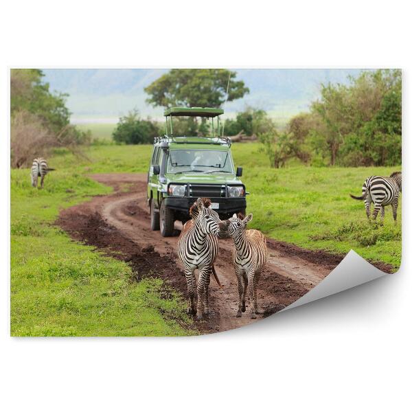 Fototapeta Safari Zelené Zebry Zvieratá