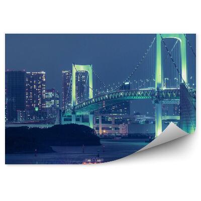 Fototapeta na stenu Osvetlený Most Lode Doprava Mesto