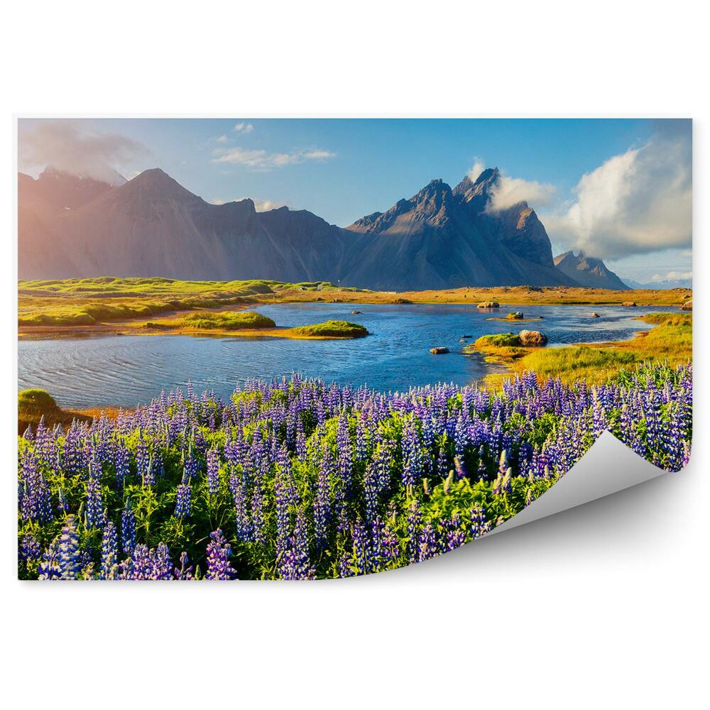 Fototapeta Vresoviská Kopce Zelená Voda