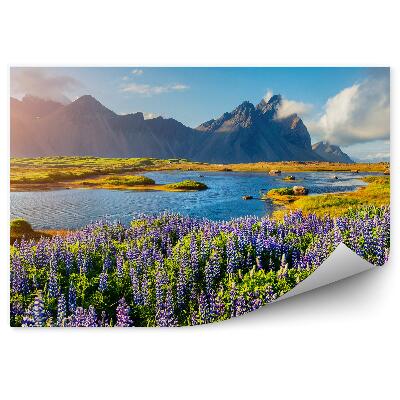 Fototapeta Vresoviská Kopce Zelená Voda