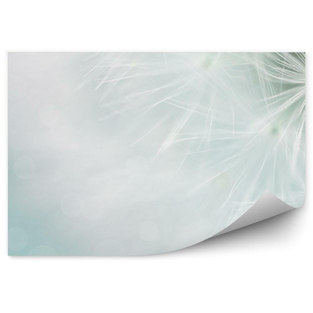 Fototapeta na stenu Dúhovka