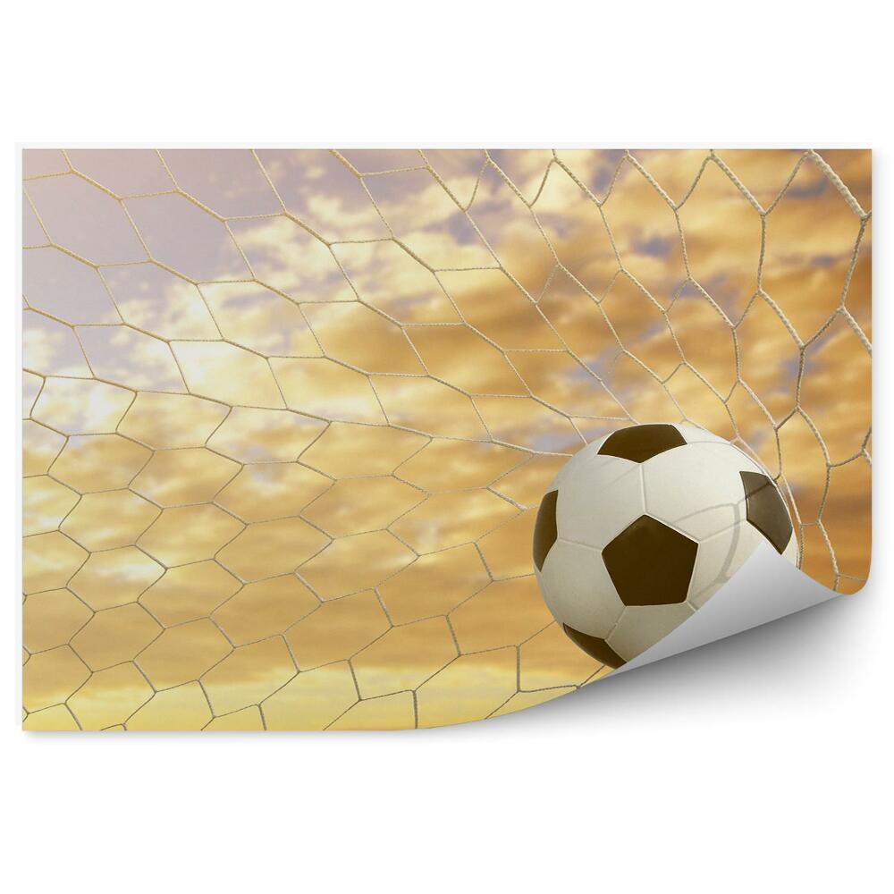 Fototapeta na stenu Nogomet v vratih