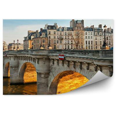 Fototapeta na stenu Krásne mosty budovy obloha rieka Seina lampy autá
