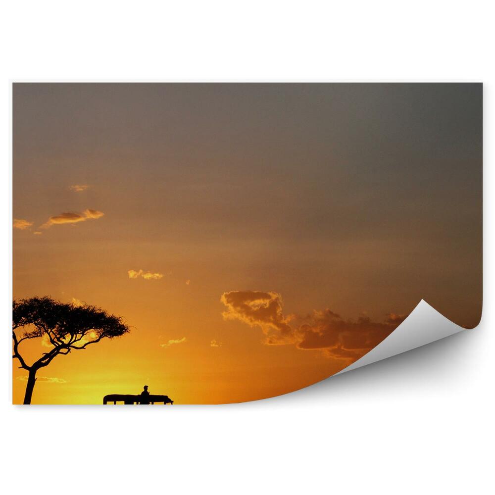 Fototapeta Západ Slnka Čierny Obrys Príroda Safari Zvieratá