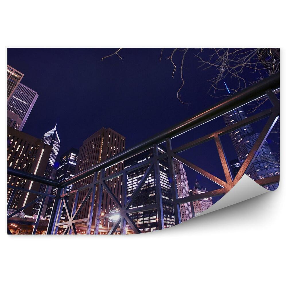 Fototapeta Chicago nábrežie mrakodrapy stromy svetlá