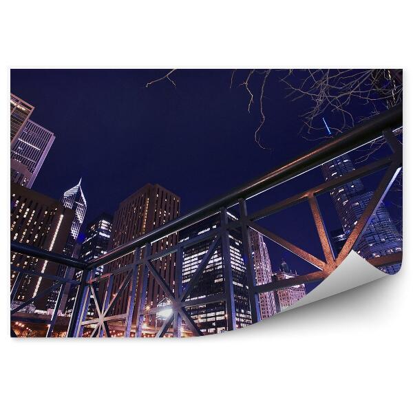 Fototapeta Chicago nábrežie mrakodrapy stromy svetlá