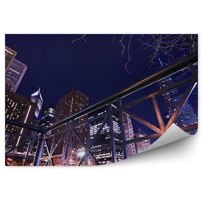 Fototapeta Chicago nábrežie mrakodrapy stromy svetlá