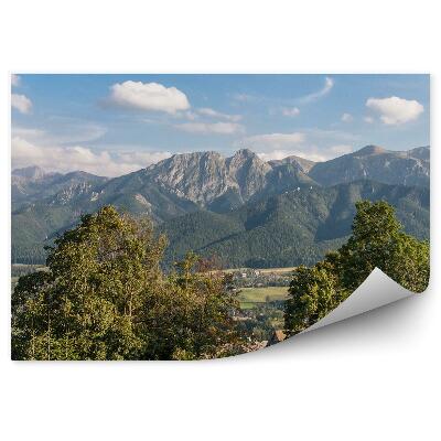 Fototapeta na stenu Tatry stromy chata obloha mraky