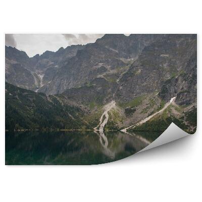 Fototapeta na stenu Tatry more oko hory stromy mraky