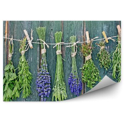 Fototapeta na stenu Čerstvé bylinky šnúrka na bielizeň špendlíky drevo