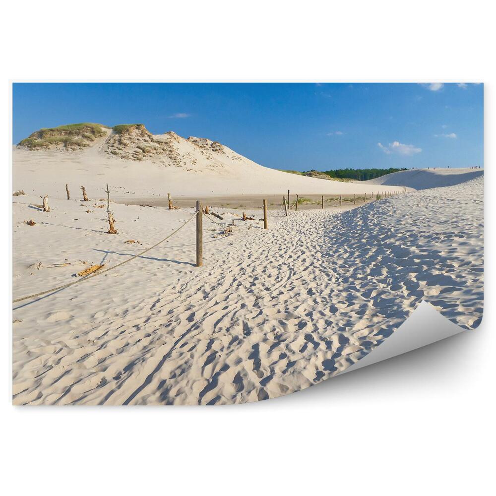 Fototapeta na stenu Pohyblivé Duny Rastliny Obloha Mraky Teal