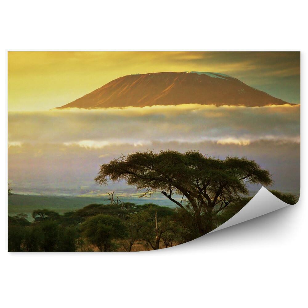 Fototapeta Hora Kilimanjaro Príroda Mraky Keňa